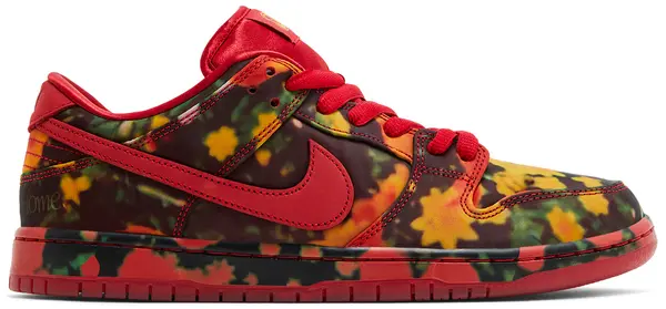 Nike SB Dunk Low Pro The Wizard of Oz
