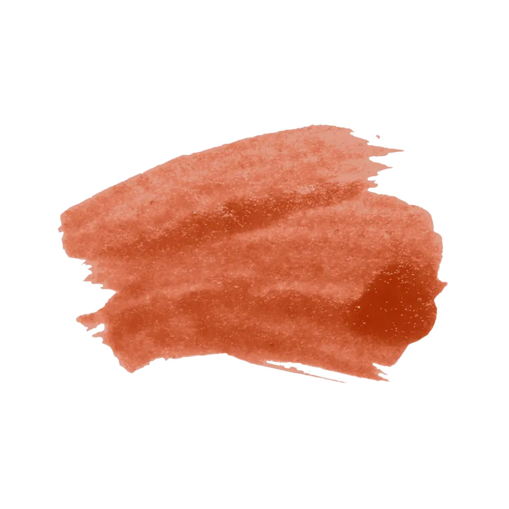 SACHEU Peel Off Lip Liner STAY-N - Sinamon