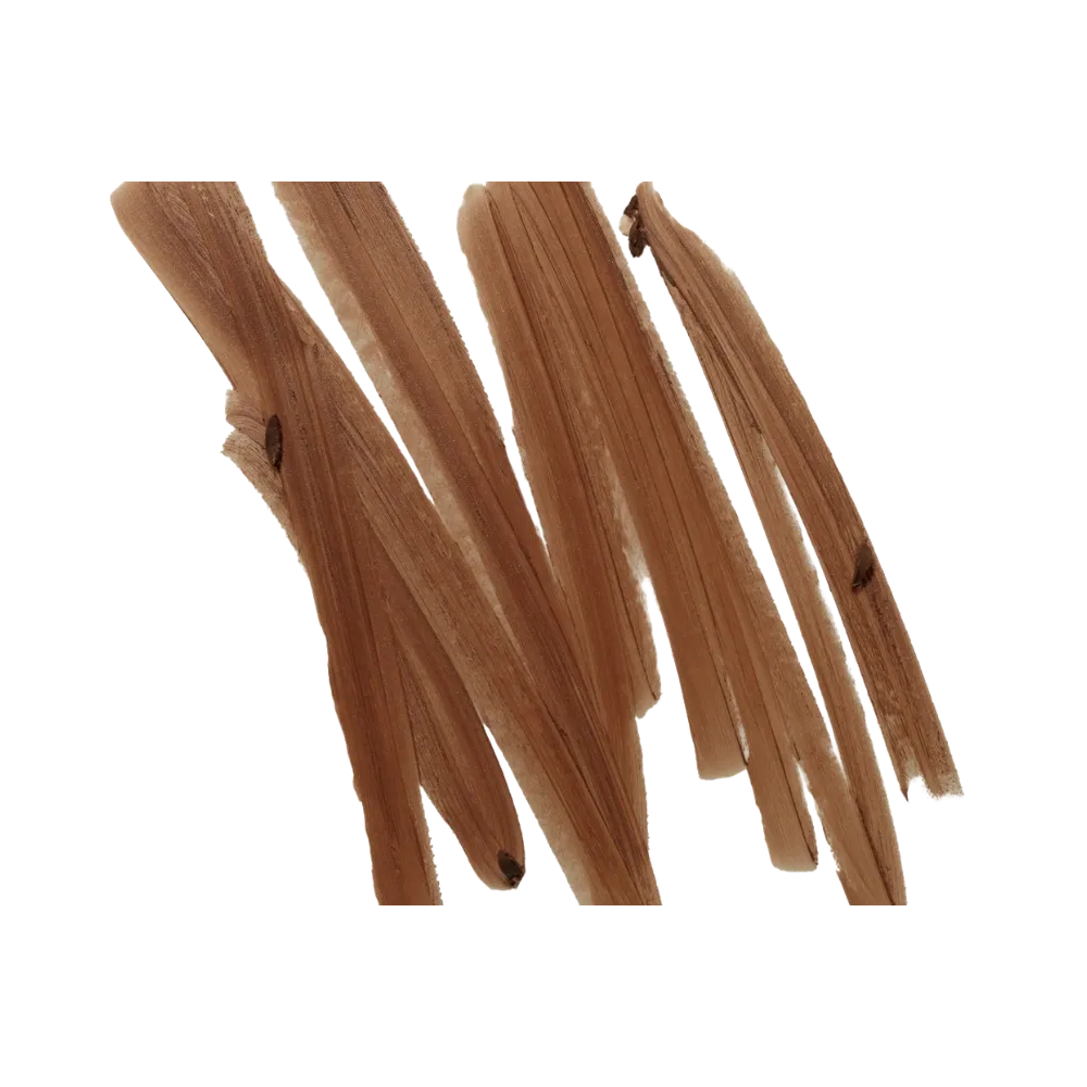 Rhode Peptide Lip Shape 'Jump- Chocolate Brown' | Hype Fly India