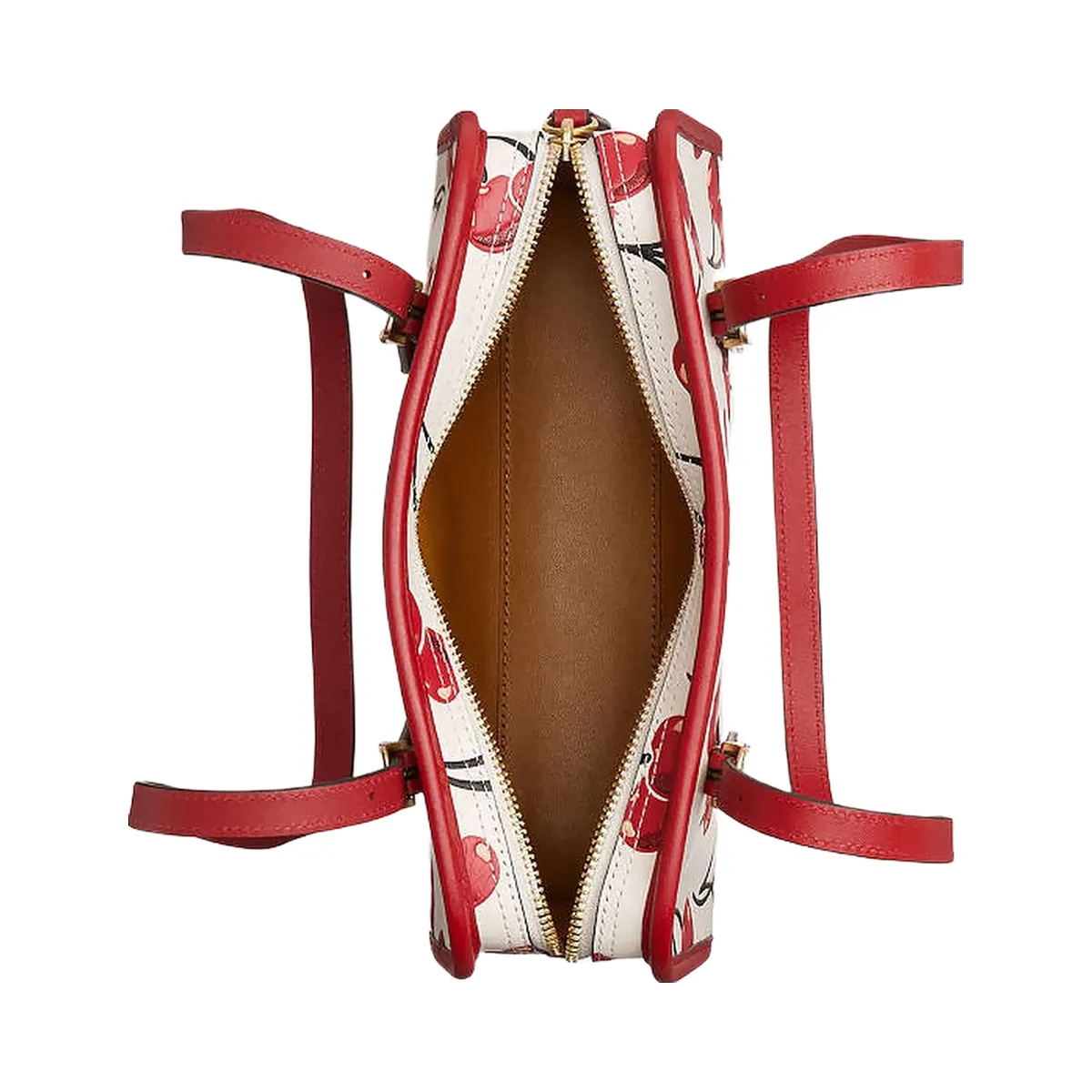 Coach Swing Zip Bag With Cherry Print Brass-Chalk Multi