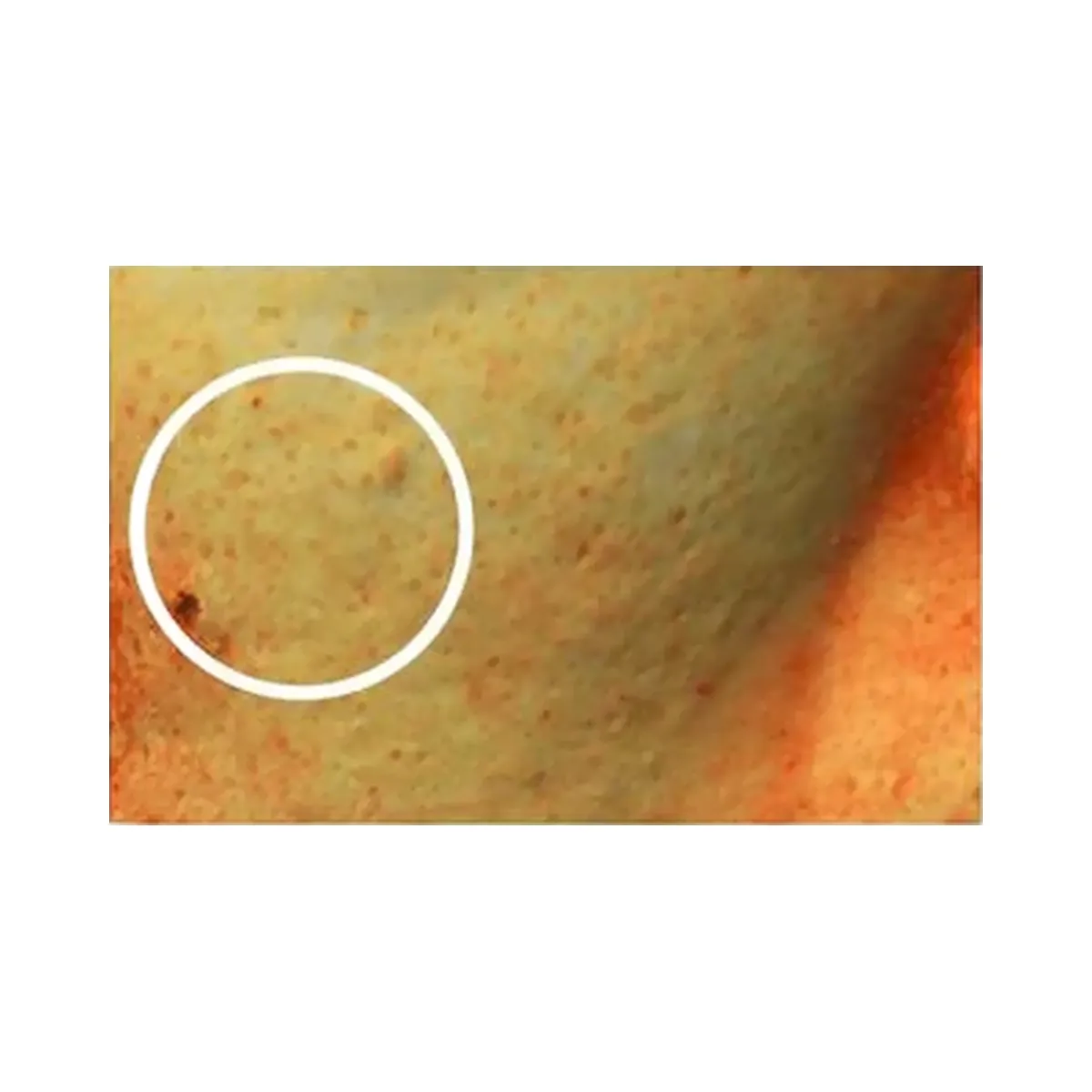 celimax Pore+Dark Spot Brightening Serum
