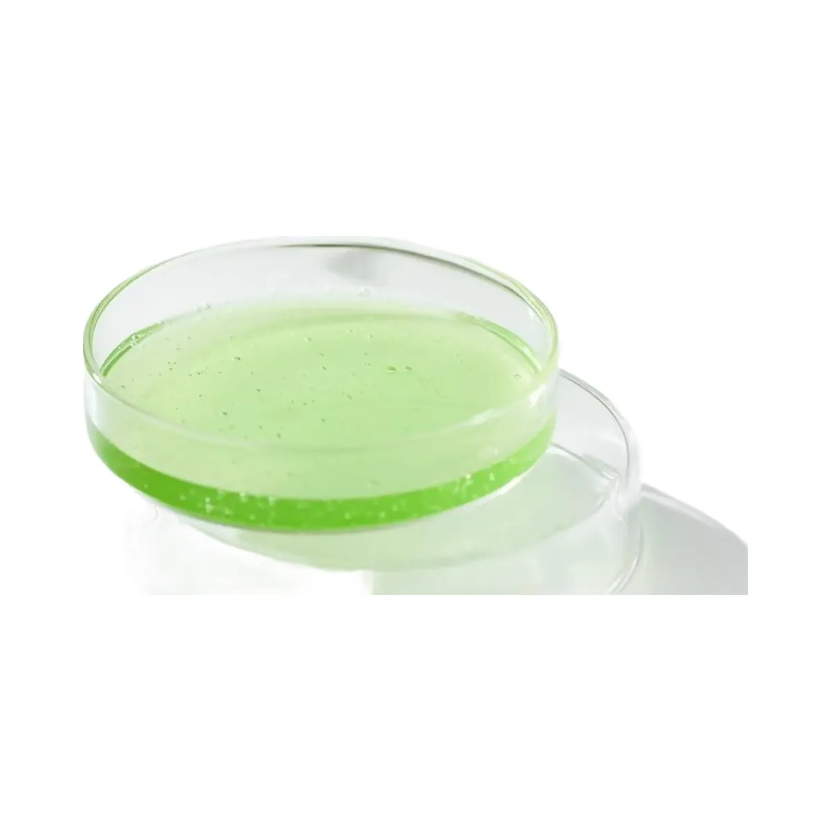 celimax The Real Noni Energy Ampoule Hydrating Glow Serum