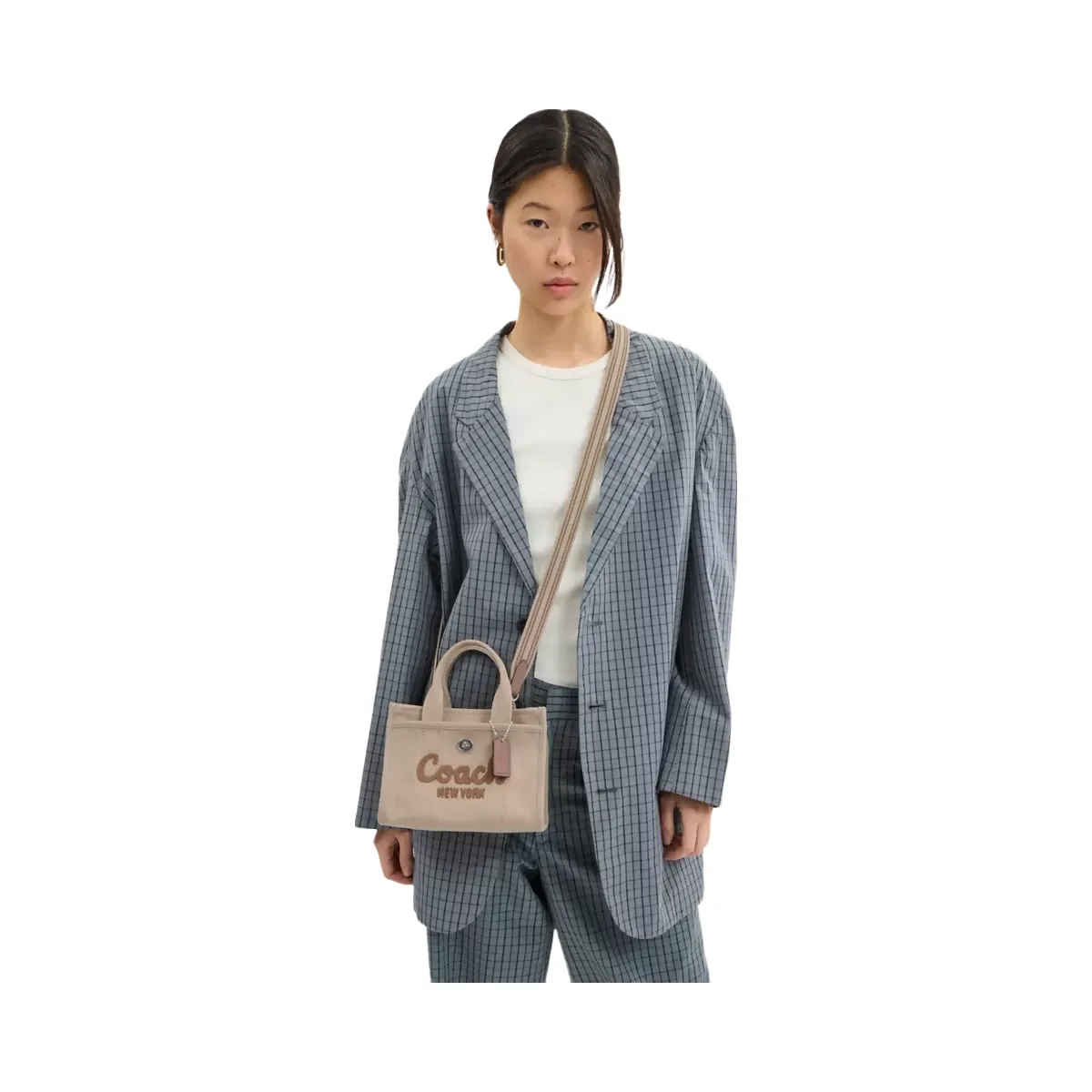 Coach Cargo Tote Bag 20 in Silver Dark Natural