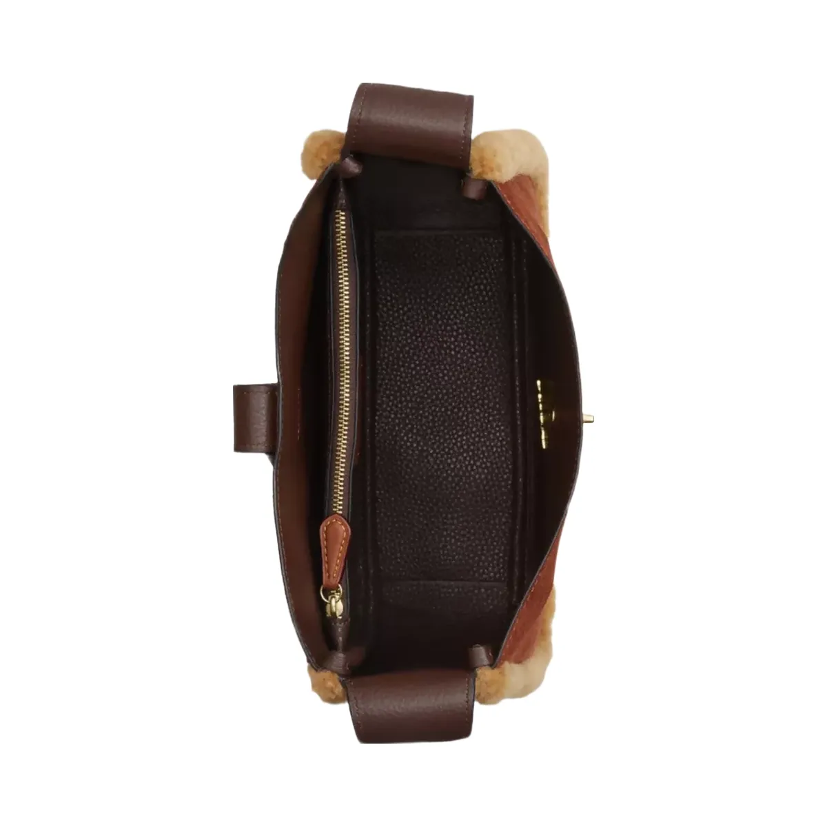 Coach Hadley Convertible Crossbody Bag in Gold Vintage Brown Multi