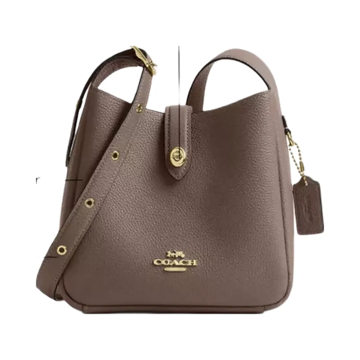 Coach Hadley Mini Crossbody Bag in Gold Dark Stone