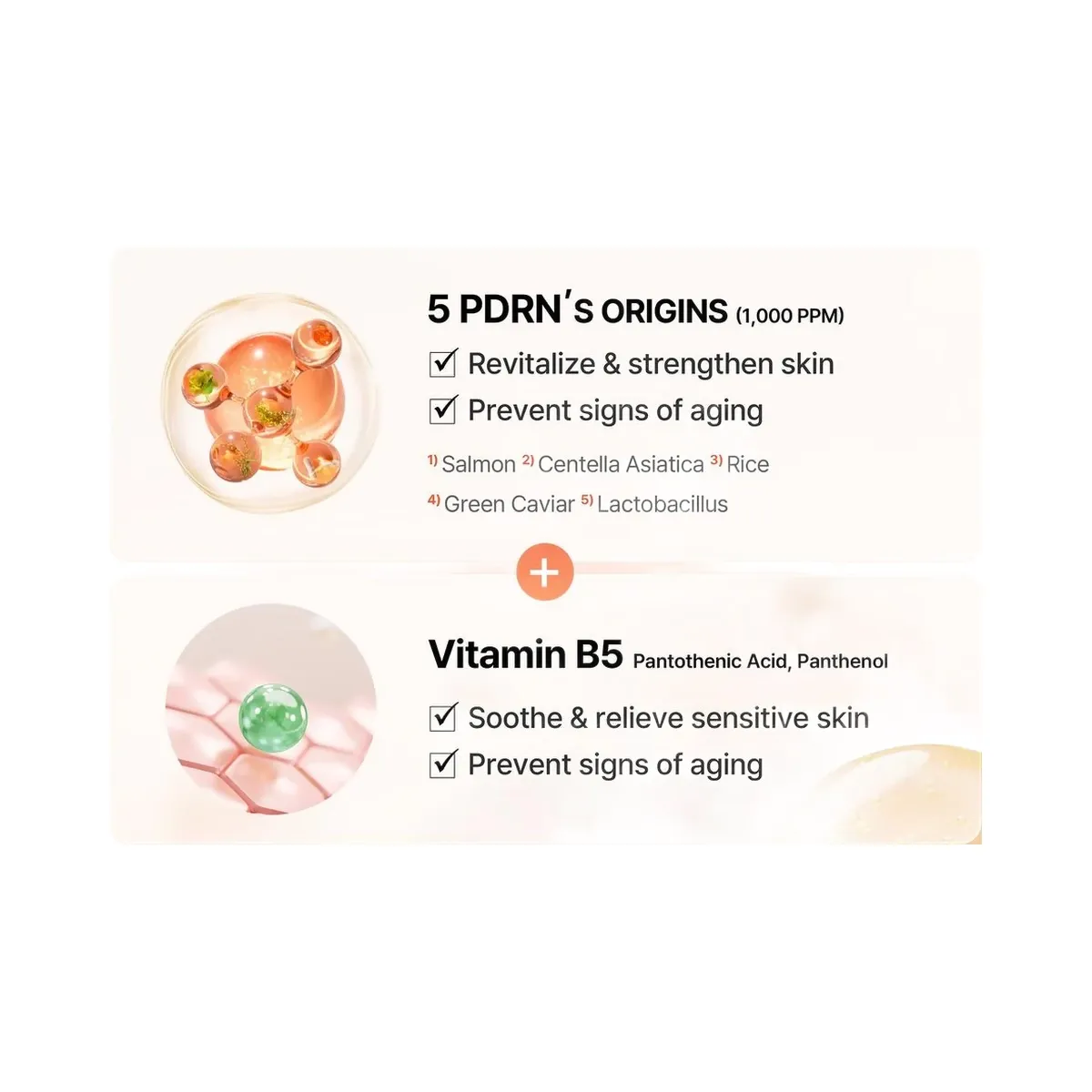 COSRX 5 PDRN B5 Vital Soothing Toner with Hyaluronic Acid & Allantoin