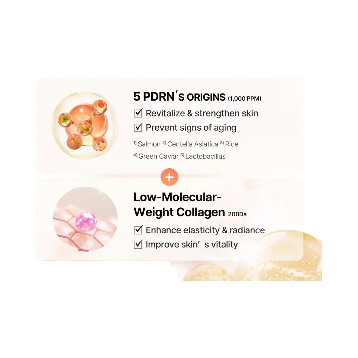 COSRX 5 PDRN Collagen Intense Vitalizing Serum with Adenosine & Niacinamide