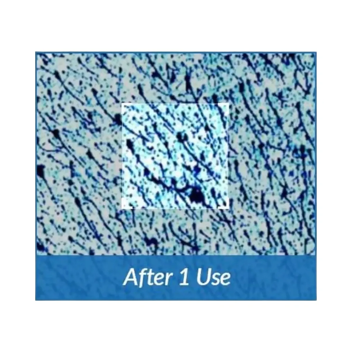 Dr. Althea Aqua Marine Watery Cream