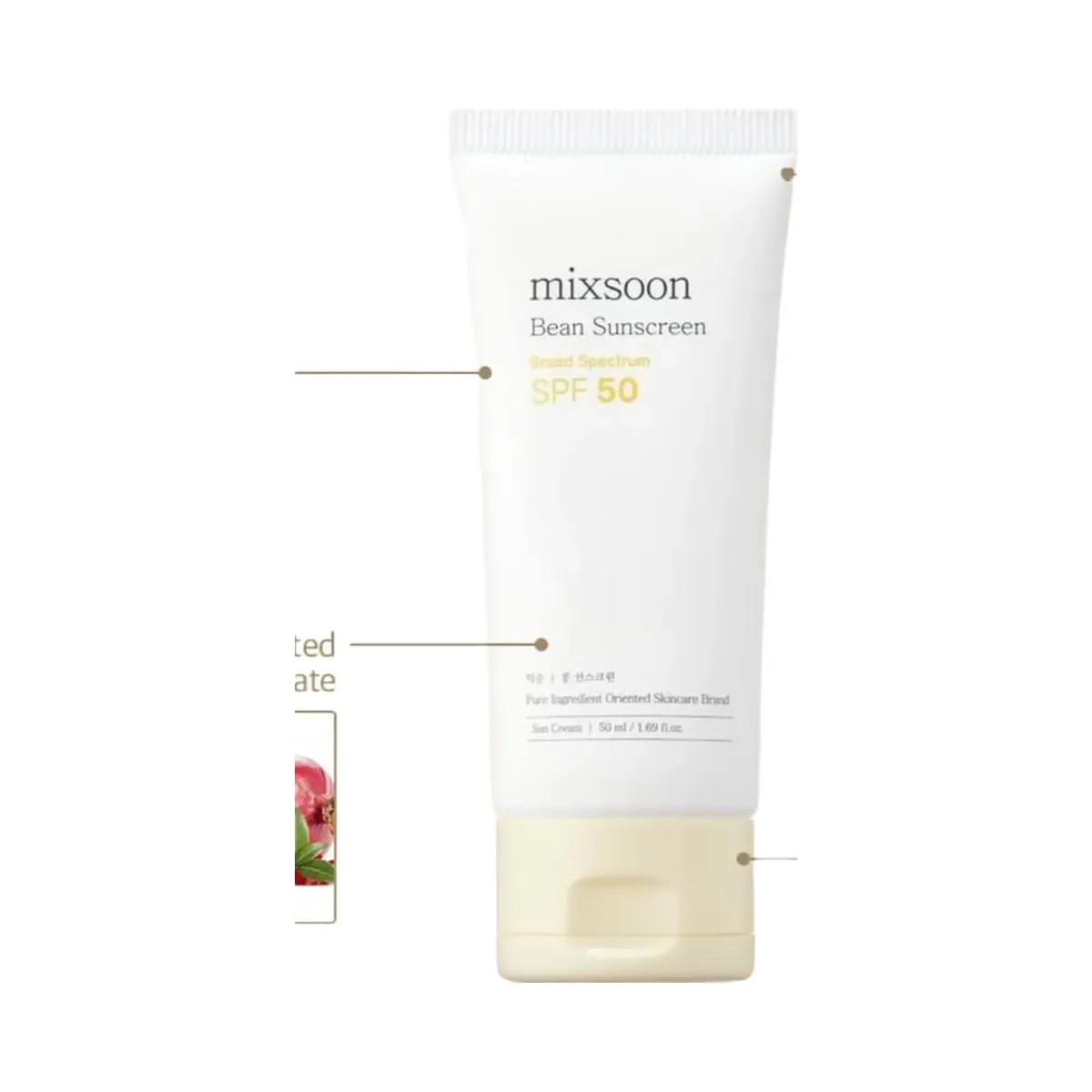 Mixsoon Bean Sunscreen SPF 50 Moisturizer