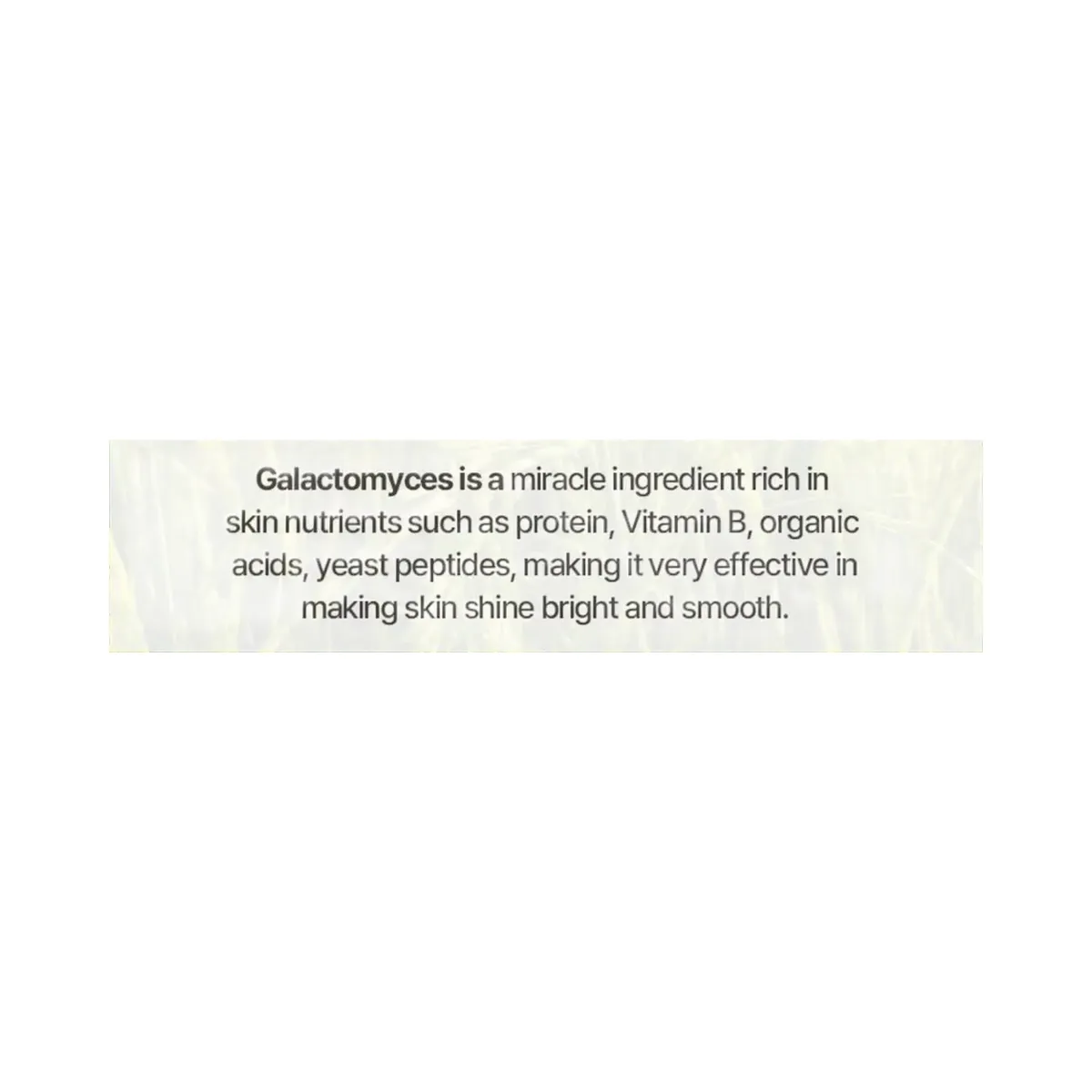 Mixsoon Galactomyces Ferment Essence