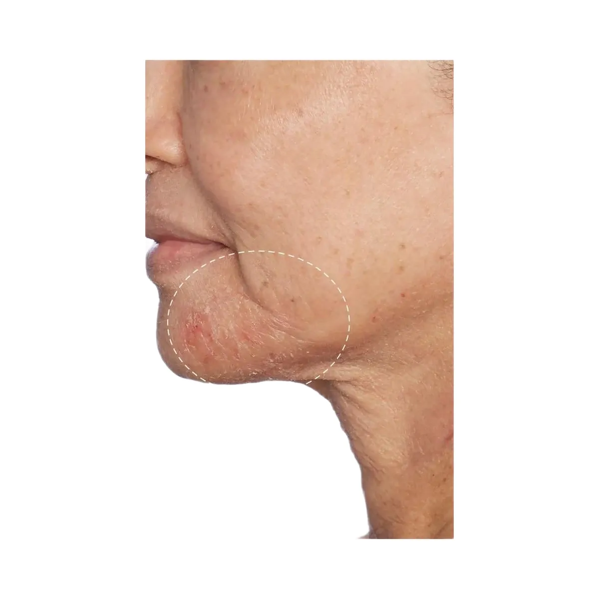 PEACH & LILY Ageless & Radiant Discovery Kit