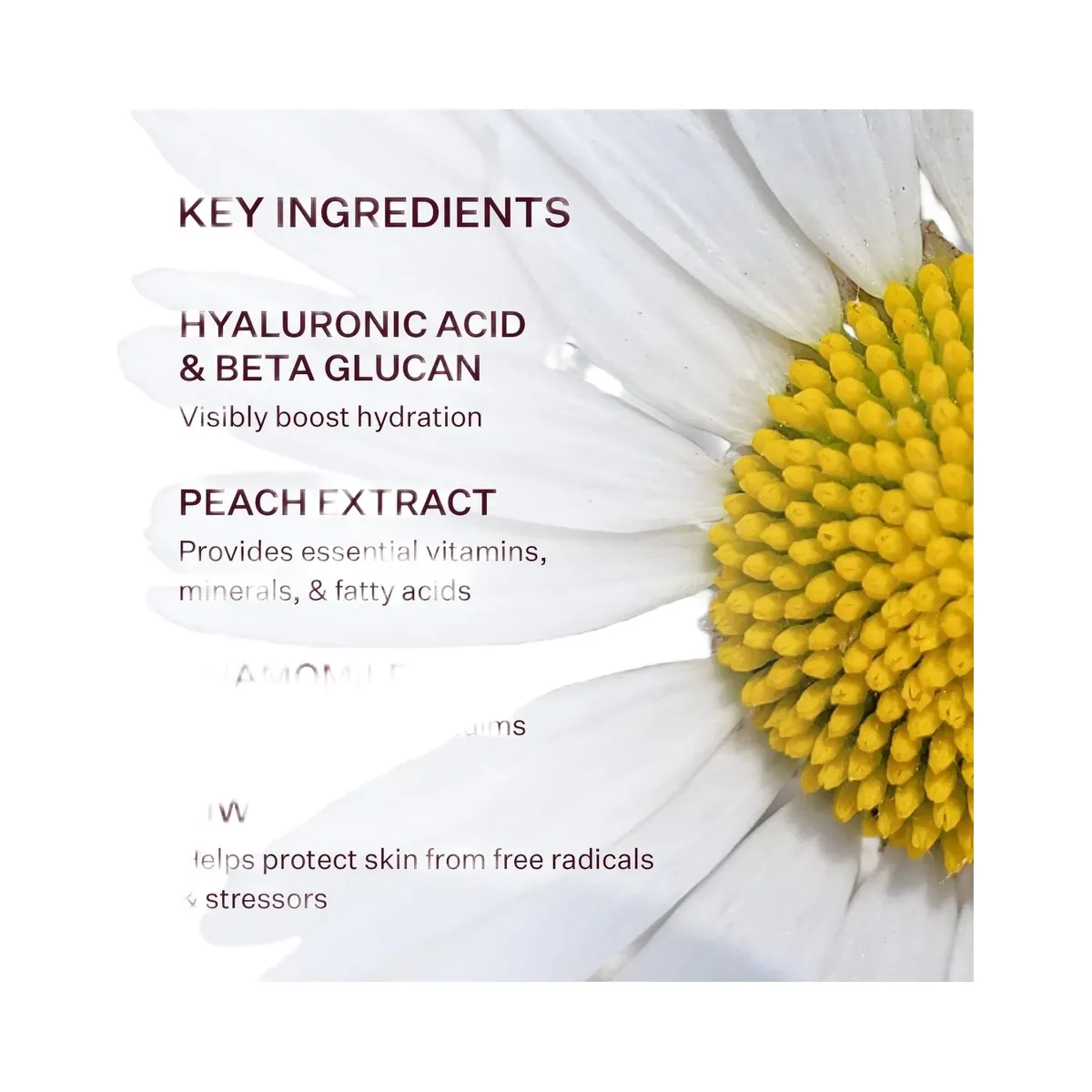 PEACH & LILY Glass Skin Water-Gel Moisturizer