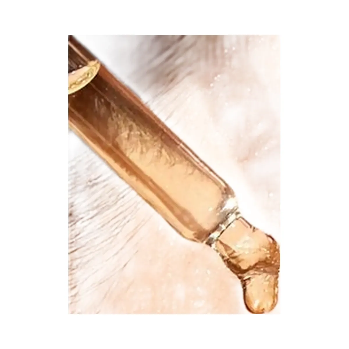 PEACH & LILY Super Root Ginseng Facial Oil