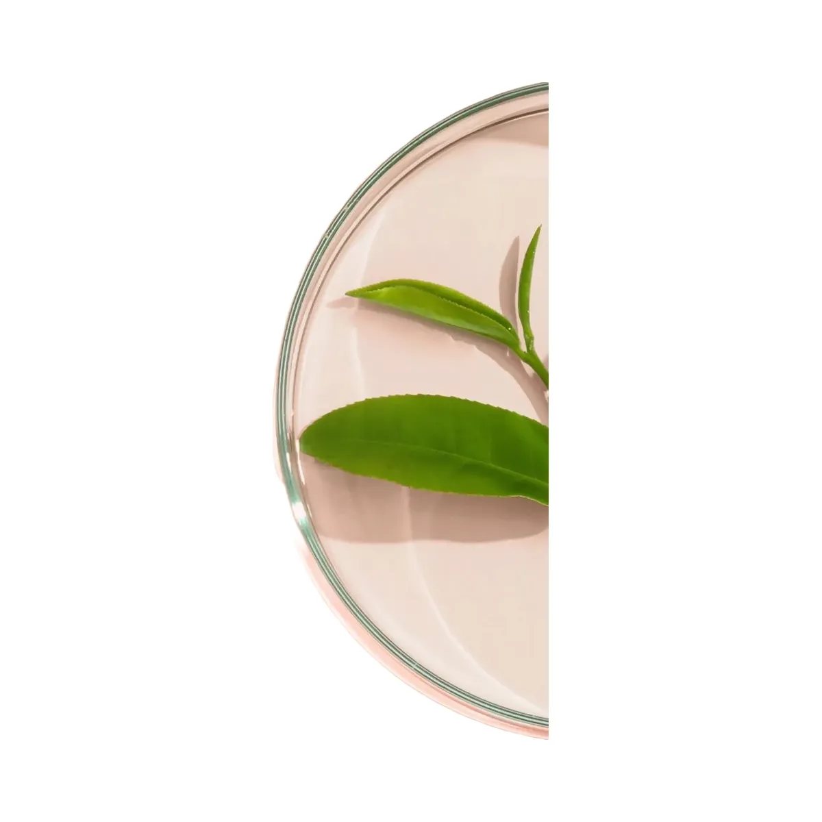 PEACH & LILY Velvet Biome Smoothing Silky Ointment