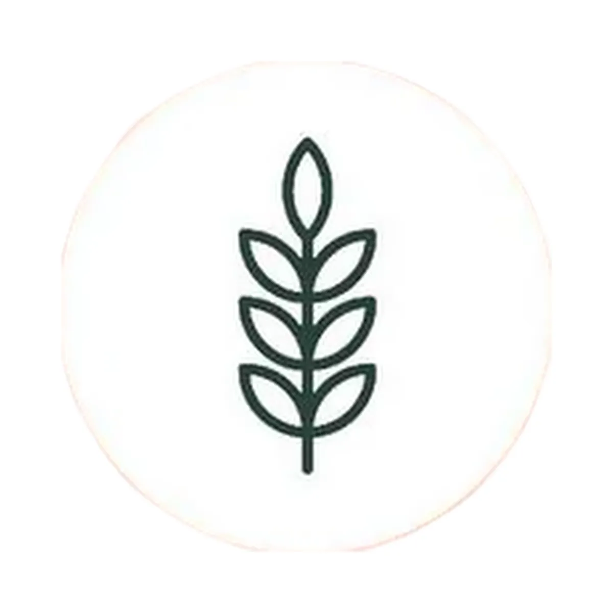 Rael Collagen Facial Sheet Mask