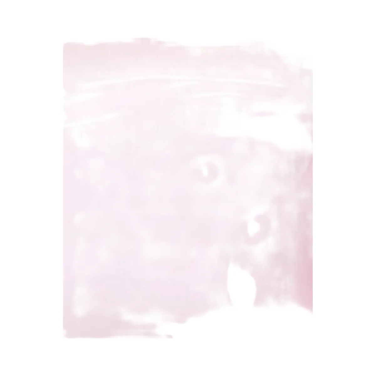 The Crème Shop Hello Kitty and Friends Dewy Peachy Enriched Cream