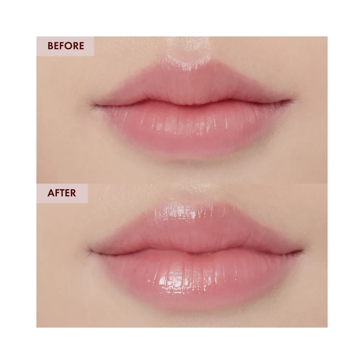 TONYMOLY Timeless Ferment Snail Lip Sleeping Mask