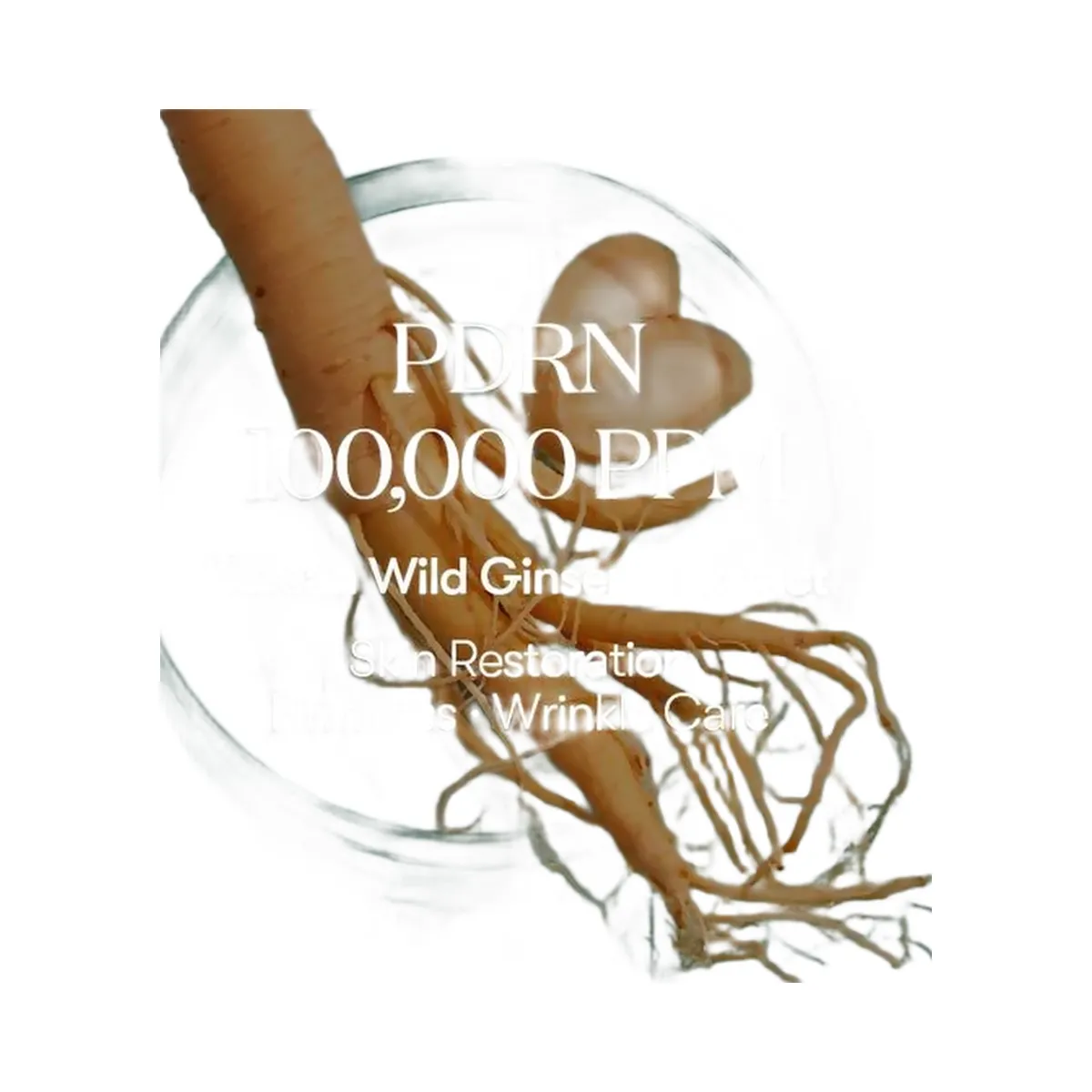 VT Cosmetics PDRN Cream 100
